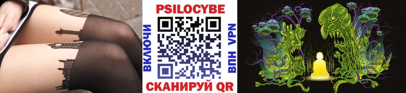 закладка  Сухой Лог  Псилоцибиновые грибы Cubensis 